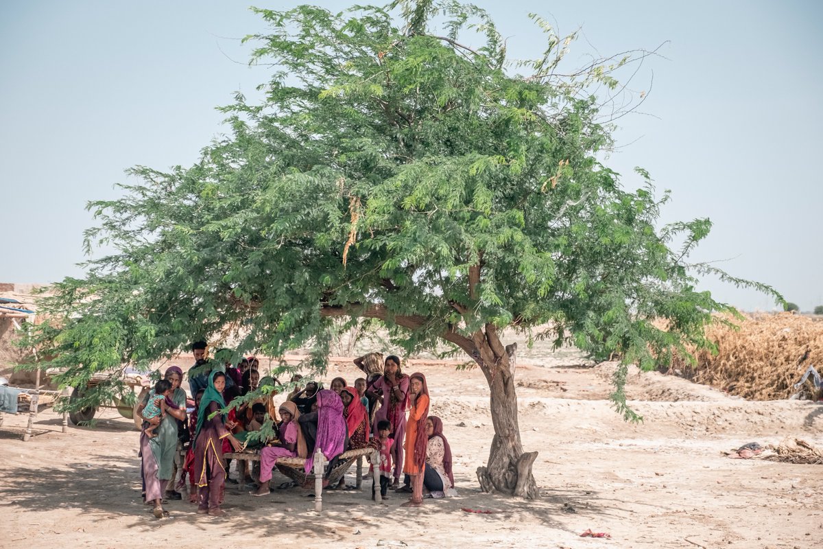 “We must respond now & reverse the losses, and we need to invest in #education. It’s not just a service to our planet🌍, it’s a service to all children whose #EducationCannotWait.” ~@YasmineSherif1

Statement on #EarthDay👉educationcannotwait.org/news-stories/d…
@UN @UNFCCC #RightHereRightNow