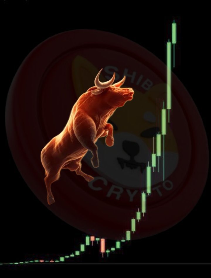SHIB SOON…