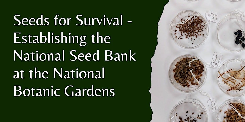The Spring Seminar Series on the collections based science happening at @NBGGlasnevinOPW concludes this Weds, 3pm, with a talk by botanist Dr Darren Reidy entitled 'Seeds for Survival - Establishing the National Seed Bank at the National Botanic Gardens'. eventbrite.ie/e/seeds-for-su…