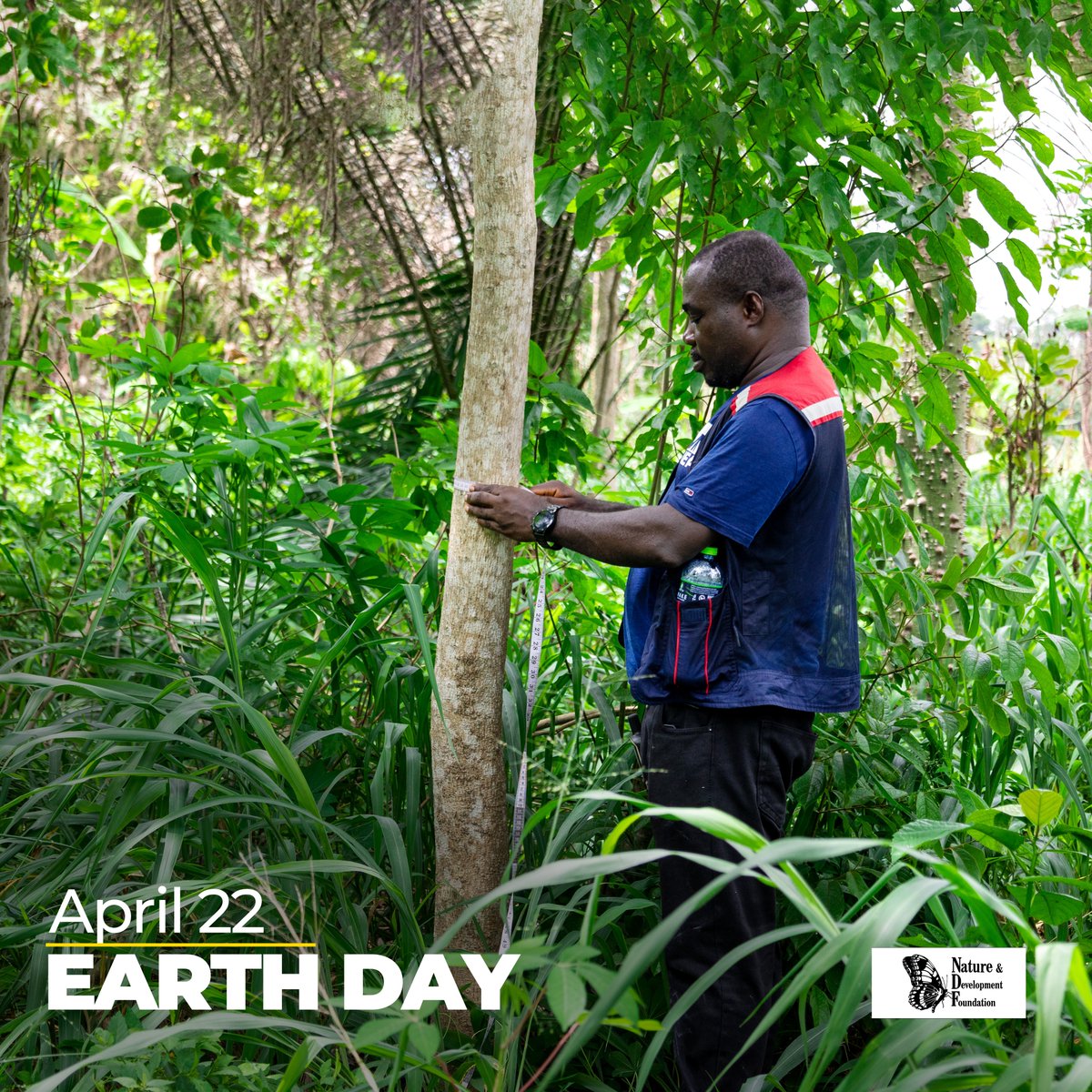 ndfwestafrica's tweet photo. Happy Earth Day!  As part of Sankofa Project, Our organization is committed to tracking carbon capture potential. Every tree counts in the fight against climate change!  
#SankofaProject #EarthDay #CarbonCapture https://t.co/dooZM29uhO