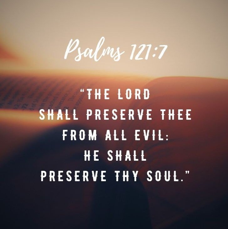 The LORD shall preserve you from all evil; He shall preserve your soul. The  LORD shall preserve your going out and your coming in from this time forth, and even forevermore. Psalm 121:7-8🤍