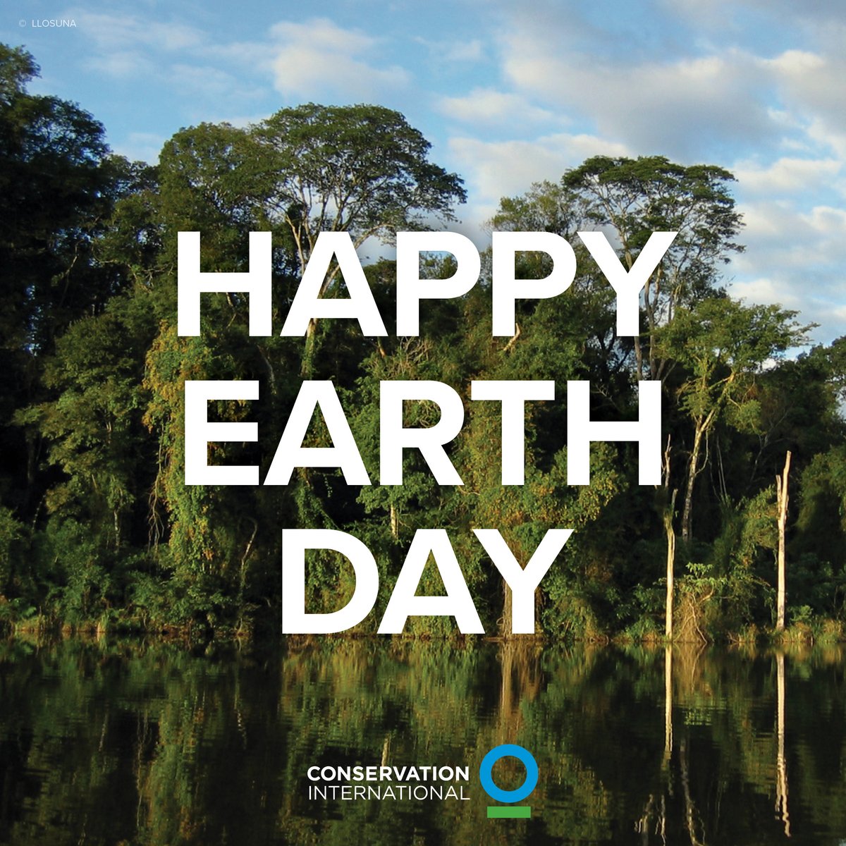 Imagine a future where nature is thriving: Animals are no longer endangered Marine life swim through clean and healthy oceans Critical ecosystems like the Amazon rainforest have been brought back from the brink We can reach this future if we all act now. #EarthDay