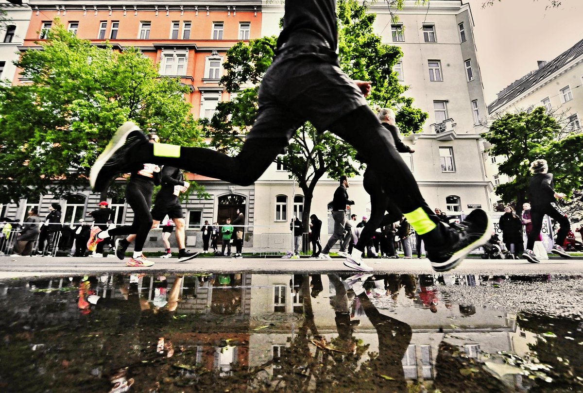 apex_archive's tweet image. #ViennaCityMarathon 2024

#vcm2024 #marathon #laufen #running #sports #sport