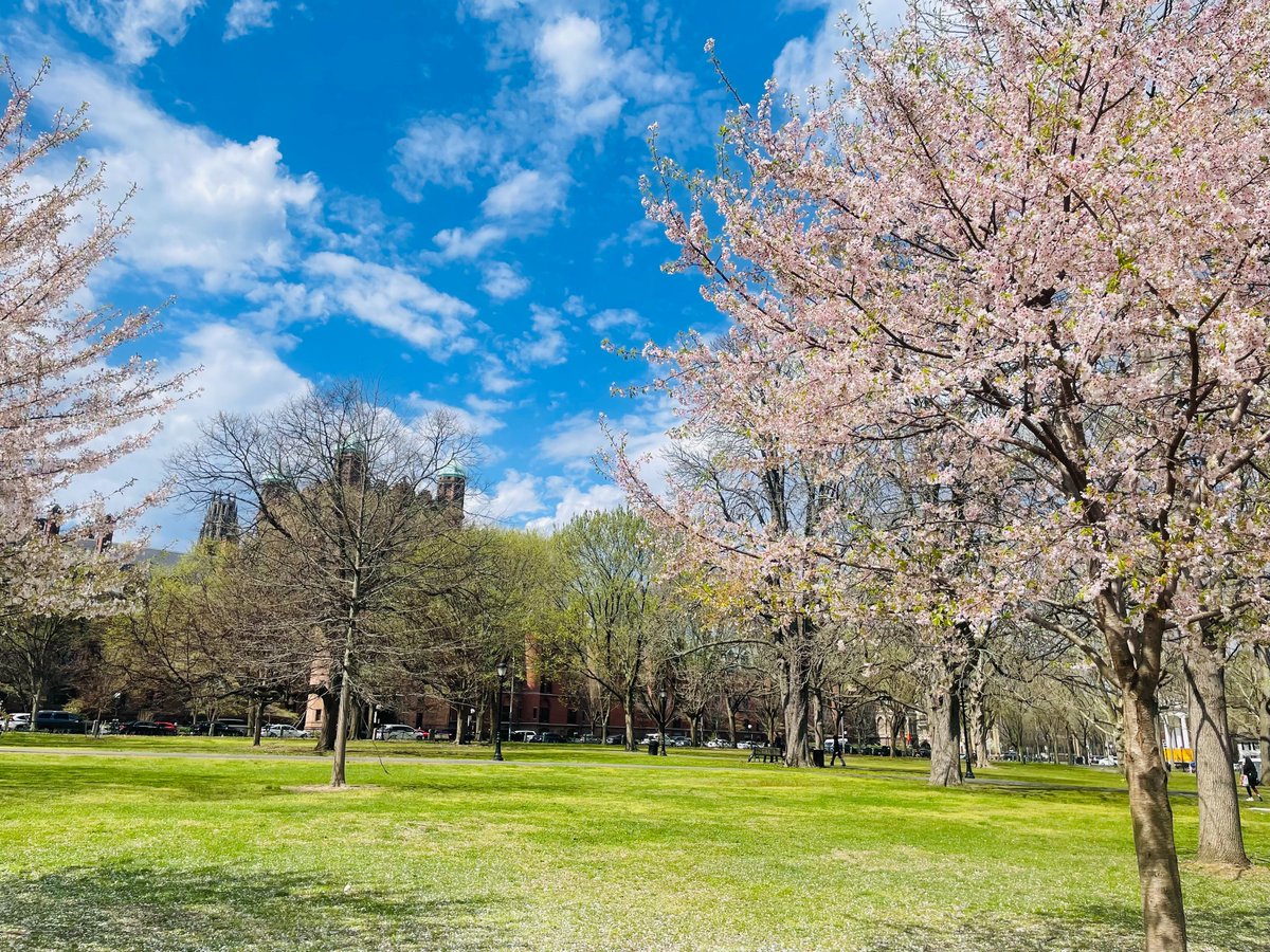 Empowered Together tweet media