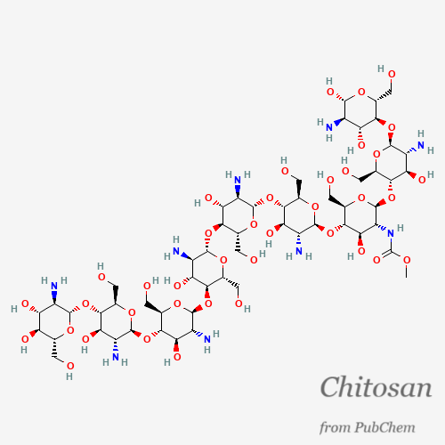 Chitosan, a natural polymer derived from chitin found in crustacean shells, served as the base material for the nanoparticles.

The results of the study showed a significant decrease in body weight and #food intake in rats treated orally with silymarin-loaded chitosan