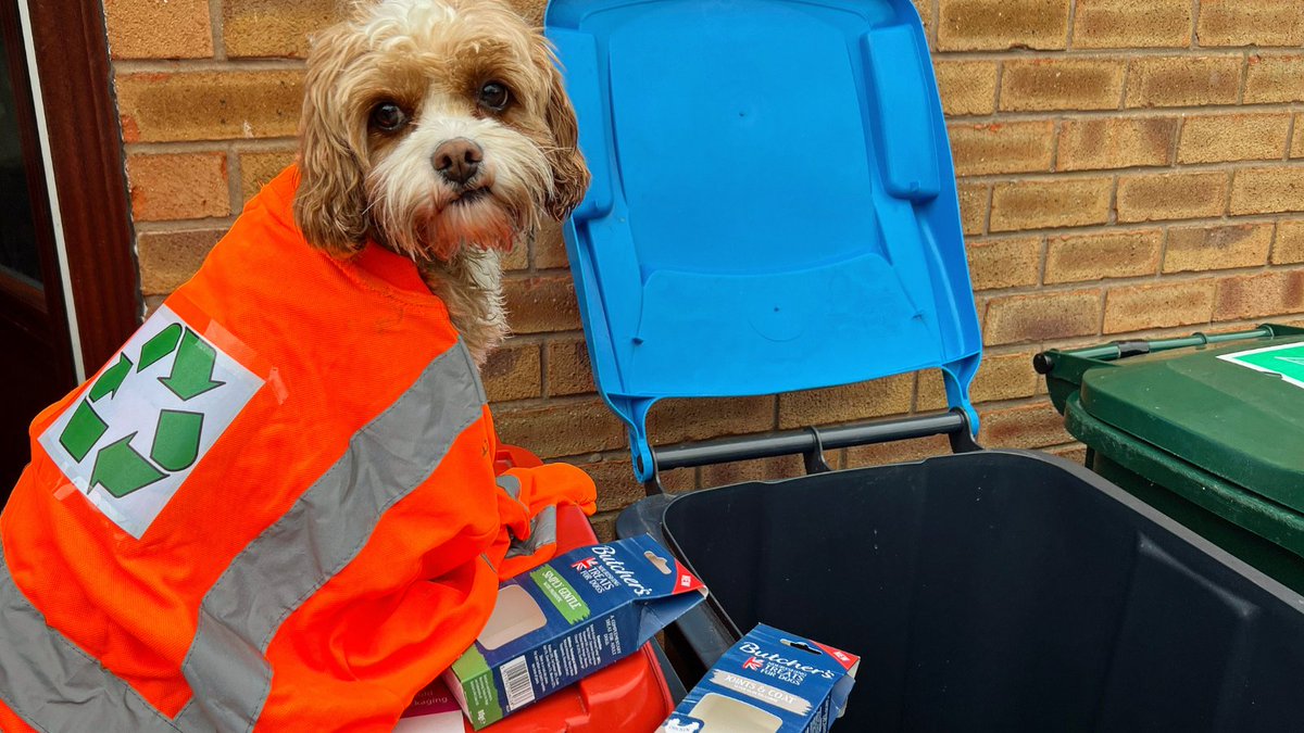 Jasper the Cavapoo clocking in for another day of recycling 🫡 Our tins, trays and cardboard packaging are all recyclable at curbside, making it easier for you to do your bit ✅ Have you got another tip for going green this #EarthDay? Let us know in the replies.