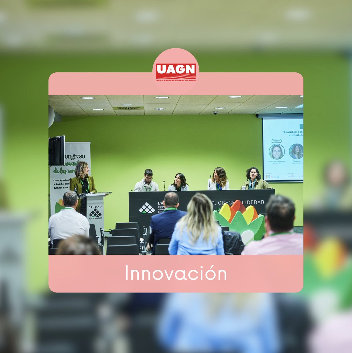 🔎🥬 #UAGN analiza la #innovación del #sectoragroalimentario en el VII #Congreso de la #Verdura de #Tudela 👉 Temas: #relevogeneracional, #emprendimiento, #comunicaciónestratégica... #UAGNapuestaporlainnovación #UAGNalserviciodelagro 🆕 La crónica: uagn.es/jornada-verdur…