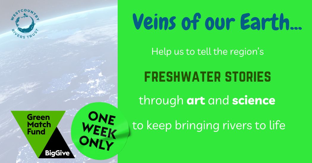 Our rivers are the veins of our Earth 🌍 Today's #EarthDay acts as a reminder for environmental conservation & sustainability You can help us to build river kinship in our region through our @BigGive #GreenMatchFund Double donations at donate.biggive.org/campaign/a0569… #WRT30Years