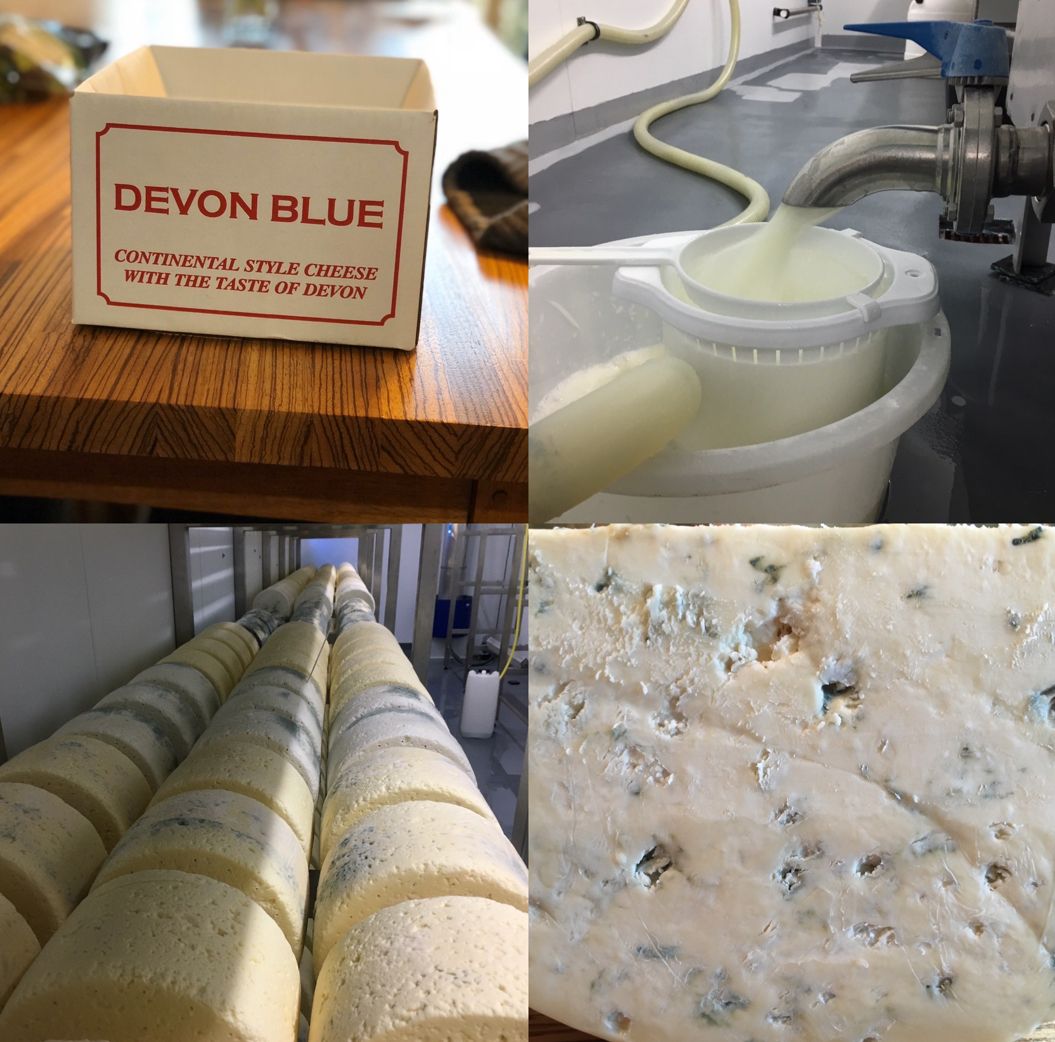 ChorltonCheese1's tweet photo. This Saturday, 27th April we're very excited to be welcoming Ben Harris from @ticklemore_cheese_dairy for a 'Meet the Maker' day! Ben and his wife Laura are the makers of customer favourites #HarbourneBlue #DevonBlue #BeenleighBlue and #BrunswickBlue https://t.co/bbCKu59aLa