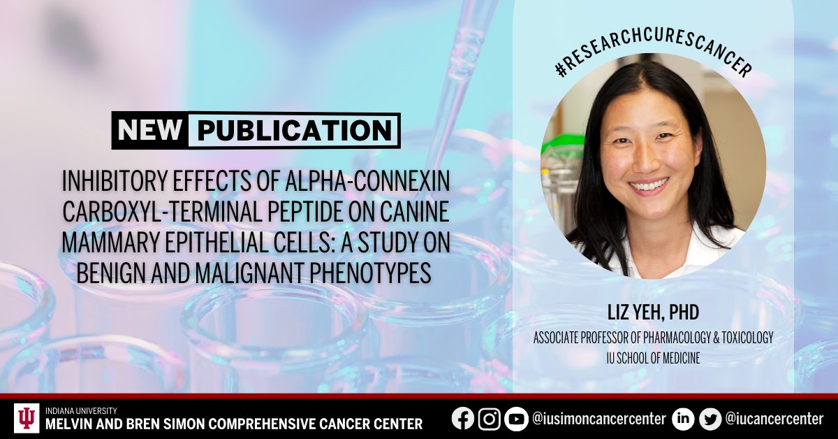 Learn from a new article published in @Cancers_MDPI by the cancer center’s Liz Yeh (@DrEYeh), PhD, and colleagues: ow.ly/W2wa50R6X0j. #ResearchCuresCancer #NCIcomprehensive