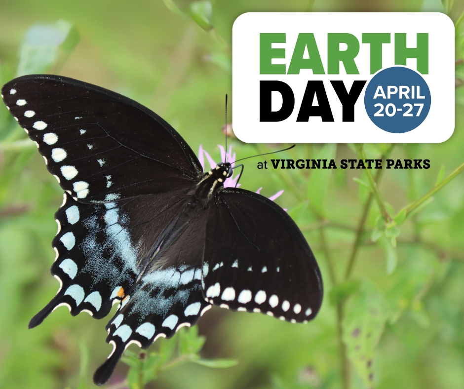 Happy Earth Day! 💚 Connect with nature at Virginia State Parks to celebrate this week. Find events to participate in at dcr.virginia.gov/state-parks/ea….
