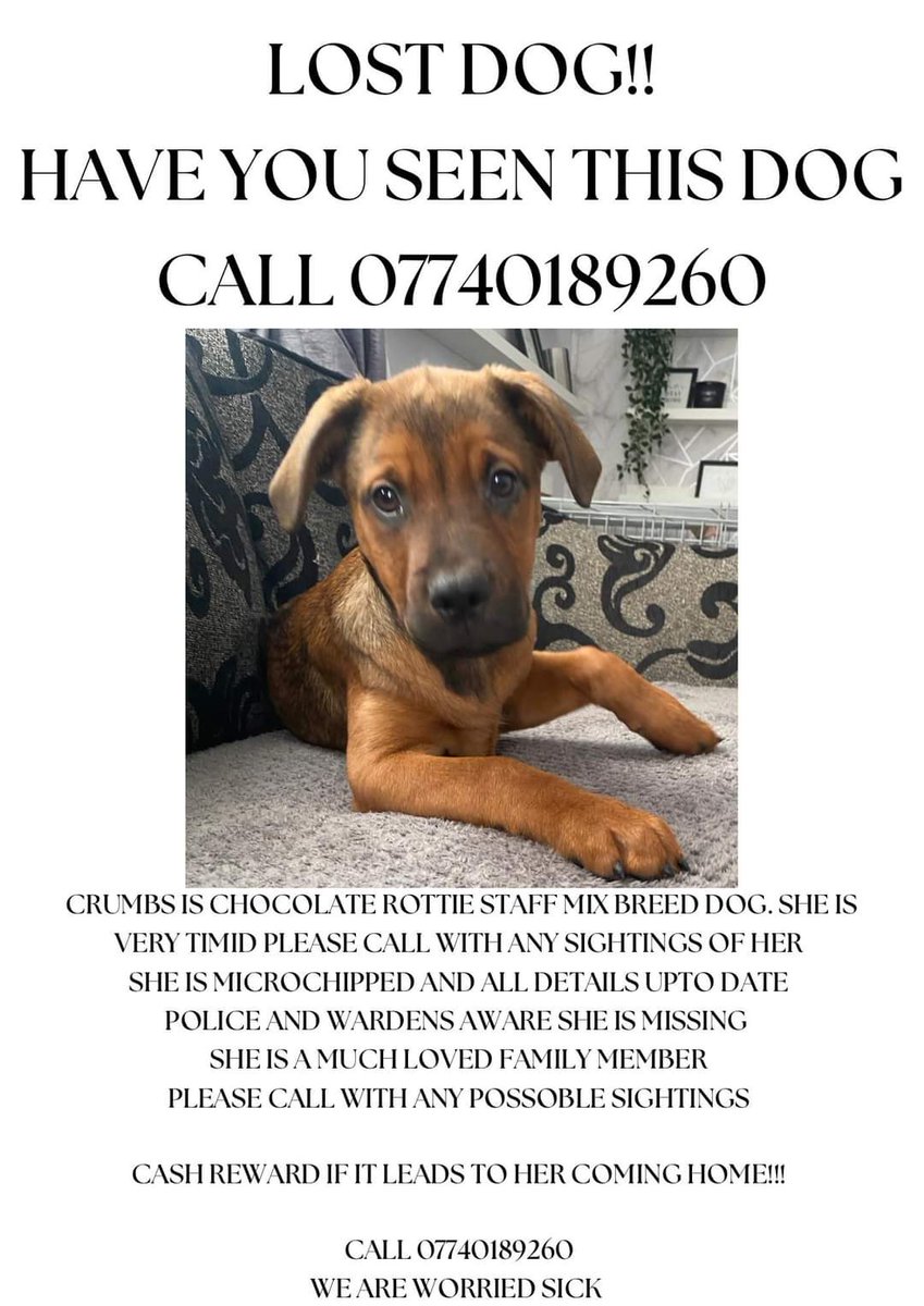 MissingPetsGB tweet picture