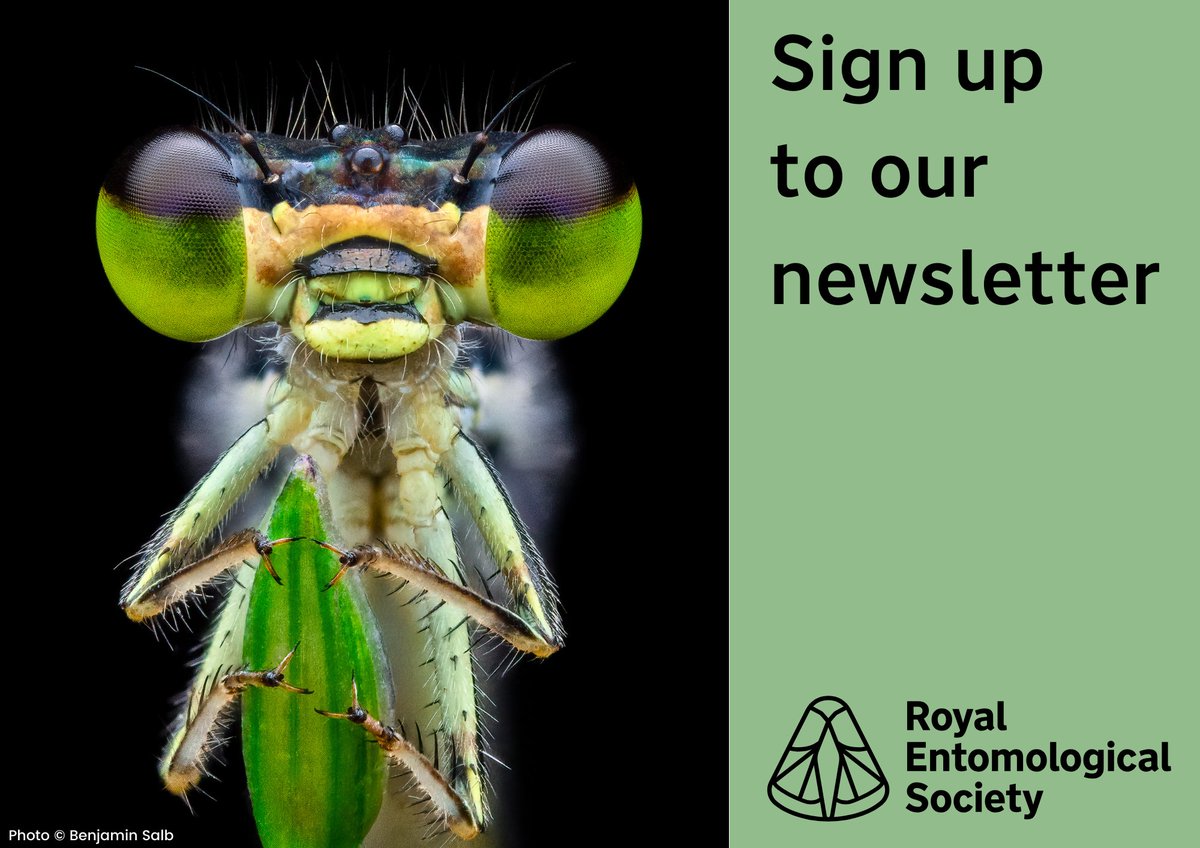 Want to know more about what the society is up to? Sign up to our newsletters 🦋 We aim to send you occasional updates about how we are enriching the world with #InsectScience, and how you can be involved. royensoc.co.uk/public-newslet…