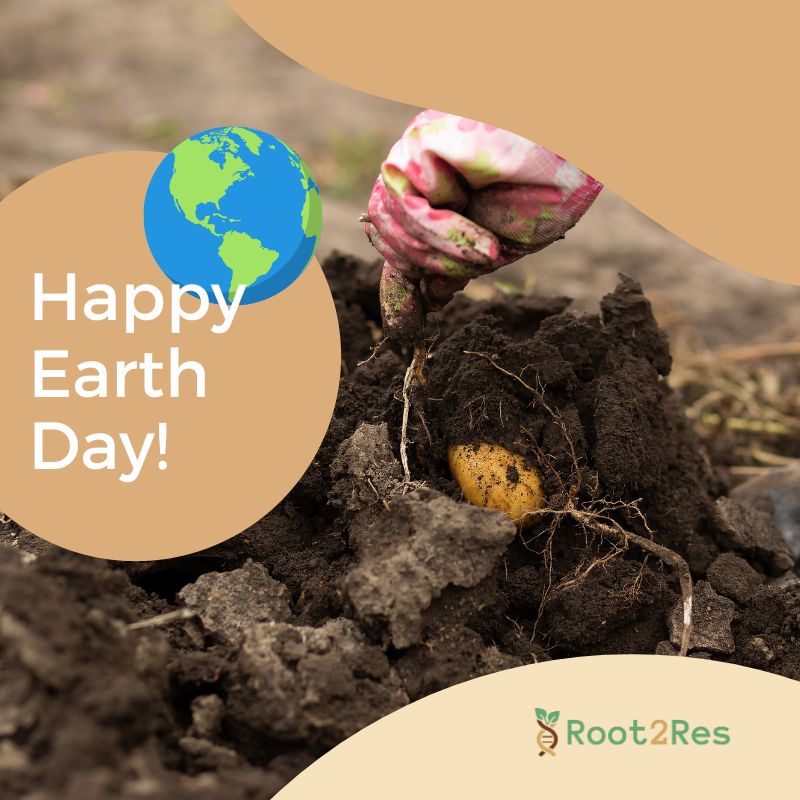 🌍🌱 Celebrating #EarthDay with a focus on food security! At #Root2Res, we're pioneering root traits assessment tools for resilient crops. Our research on water/nutrient efficiency, pesticide reduction, and carbon sequestration promises sustainable yields for the next decade.