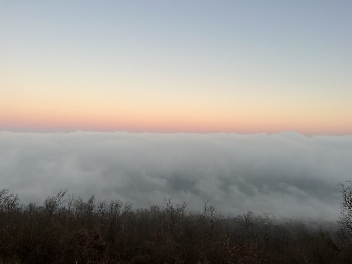 🌎✨ Happy Earth Day! Let's celebrate our incredible planet and the majestic Tennessee River that flows through it. Let's pledge to protect and preserve these natural wonders for future generations. #MyJourneyTo652 #TNRiverLine652 #DoYou652 @utiag | @utknoxville | @tvanews