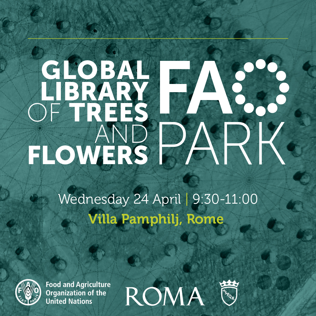 In Rome? Join @FAO on Wednesday, 24 April at 9:30 CET for the launch of a new educational itinerary and explore the trees at the Global Library of Trees and Flowers – #FAOPark. 👉 ow.ly/uhUm50RiSF8 @Roma @coldiretti @assofloro @PaesaggioFest