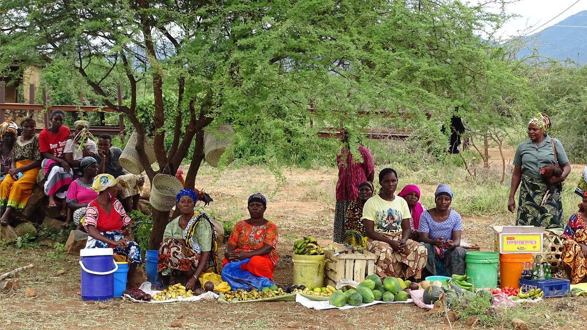 #FinancialInclusion ♀️ Policymakers, close the #gendergap with: 🚀 Gender-intentional policies 🔍 Sex-disaggregated data 🔥 Education & empowerment 🛠️ Equality-driven product design 🏗️ Inclusive financial infrastructure More: wrld.bg/NP6T50RhRzF