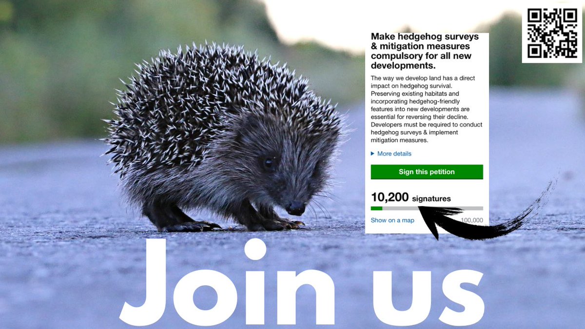 Can’t stop now. We have until 8 September to get 100,000 signatures & a parliamentary debate This is#MammalWeek & #hedgehogs need you step up this & every week. 👉🏻🦔petition.parliament.uk/petitions/6580…