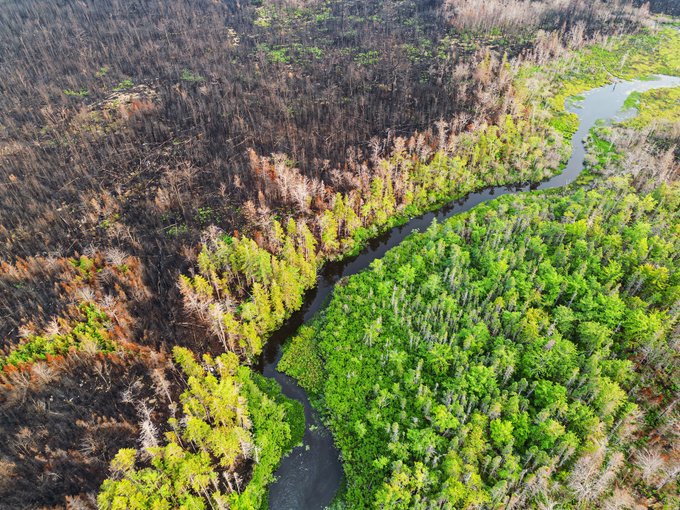 Canadian Science Publishing tweet media