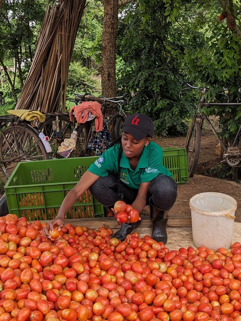 #Agriculture career isn't just about planting seeds and reaping harvests only; it's about nourishing communities.