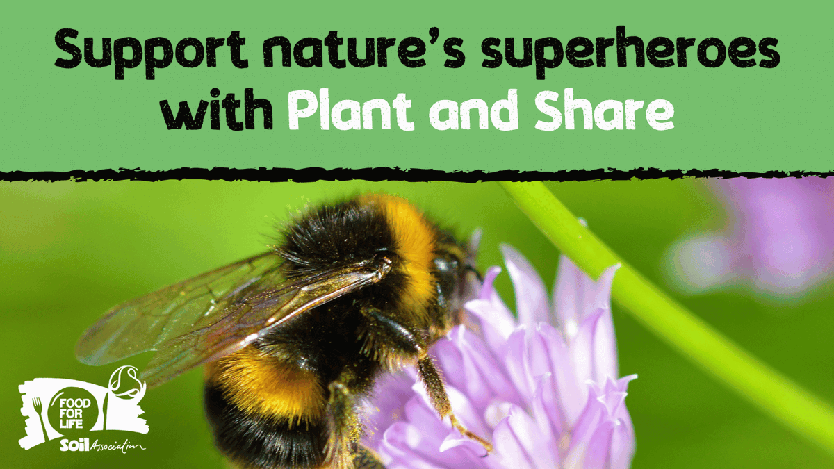 Happy #EarthDay! This week we're #GrowingForNature with #PlantAndShare! 💚

Why do you think bees and other pollinators are so important? 🤔🐝

Find out with our free toolkit 👇

fflgettogethers.org/get-involved/p…