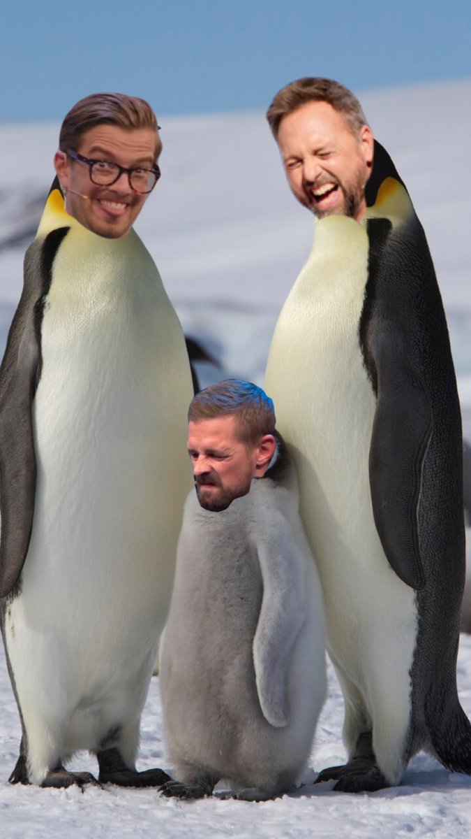 ich möchte mich kurz korrigieren: drei pimguime #24hjk