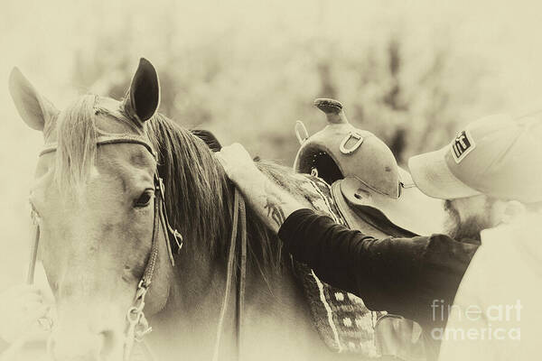 Horse Whisperer here: fineartamerica.com/featured/horse… #horse #art #BuyIntoArt #animals #rnatalephotography