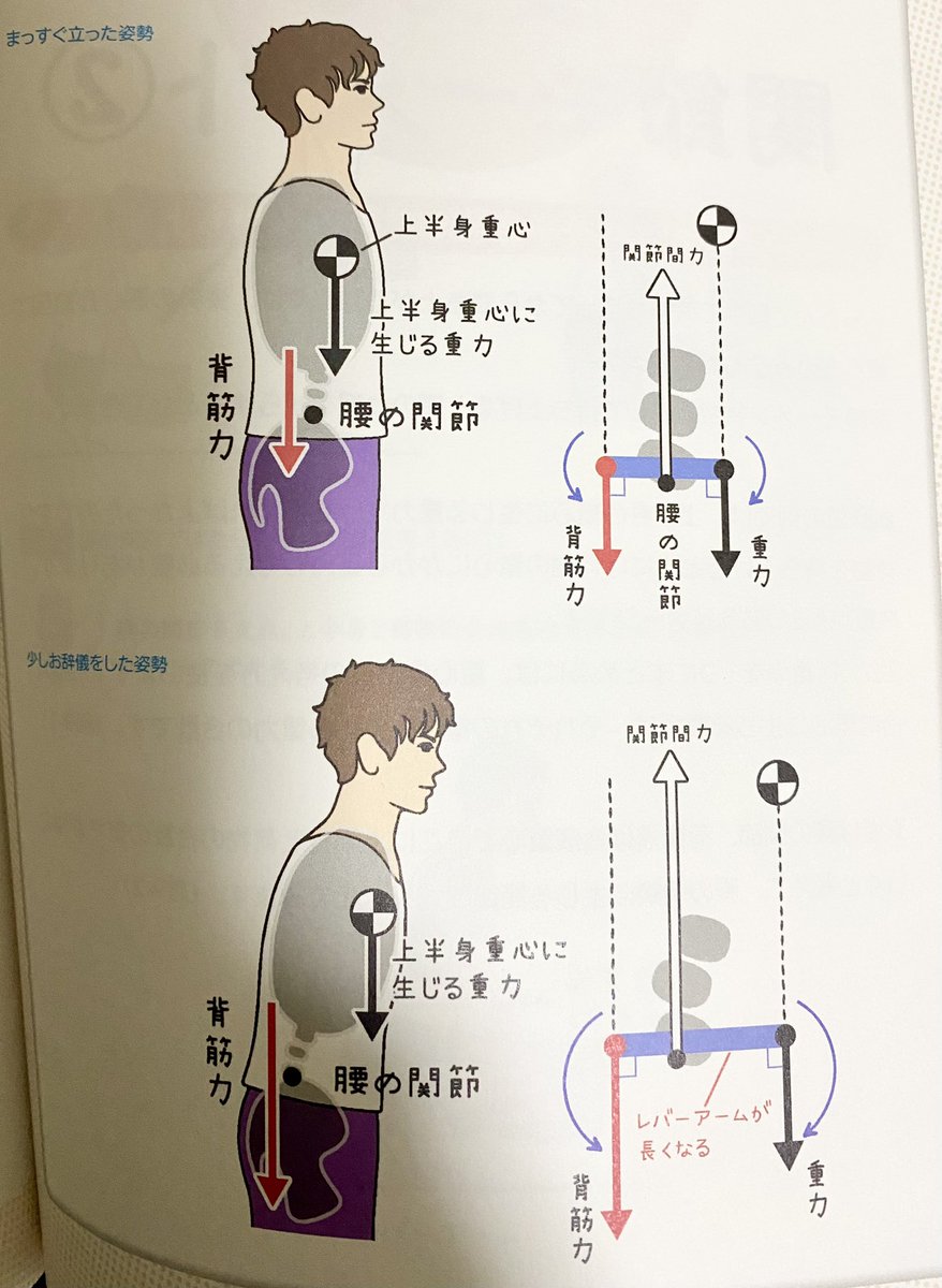 臨床で使えるバイメカの考え方ですかね? 具体的に例を言えば 