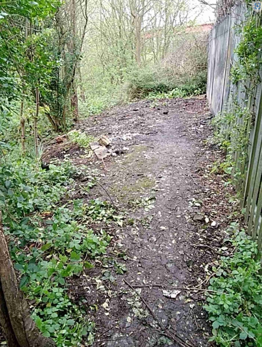 🌍Today is #EarthDay2024 🚯We've been working to combat plastic pollution. 🌻Our Big Spring Clean in the Community helped to make the city sparkle! 👇Check out these before and after photos of just one of the clean-ups that took place.