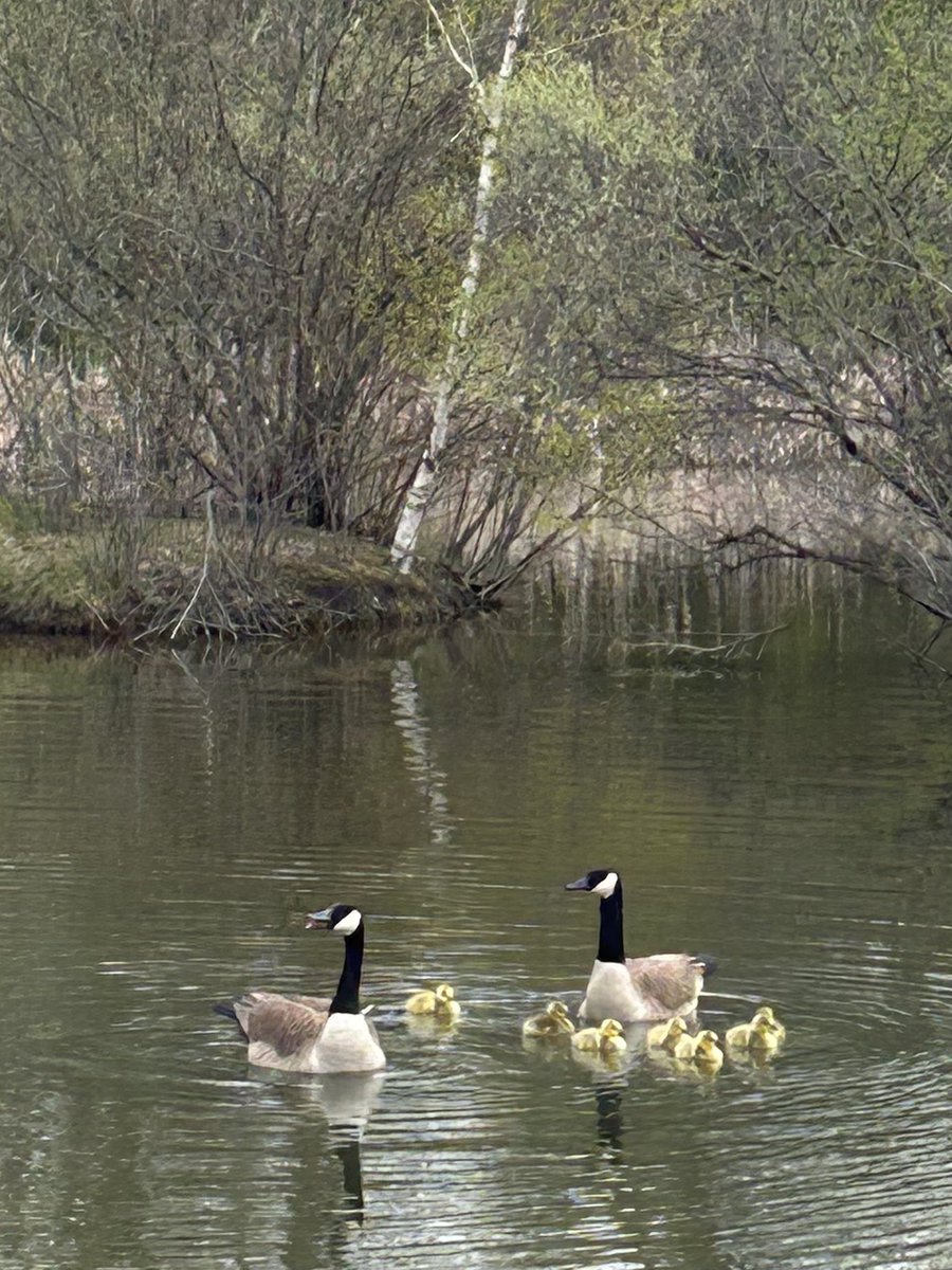 MrsSiegel2's tweet photo. Firefighters Park on the morning of this #EarthDay2024 #TroyMI @CityofTroyMI stunning! https://t.co/udmPtmXaoN