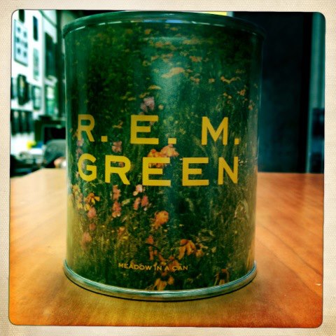 R.E.M. HQ tweet media