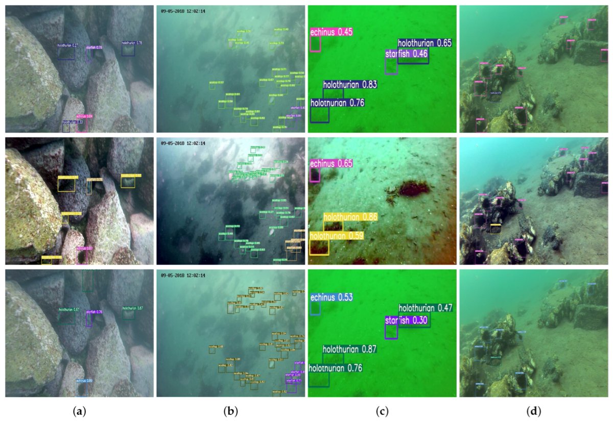 🔍 Explore a #HighlyCitedParer: 'A Novel Underwater Image Enhancement Algorithm and an Improved Underwater Biological Detection Pipeline'. 📸Uncover the research: mdpi.com/2077-1312/10/9… #UnderwaterResearch #ImageEnhancement #BiologicalDetection 📝🔬 #NortheasternUniversity