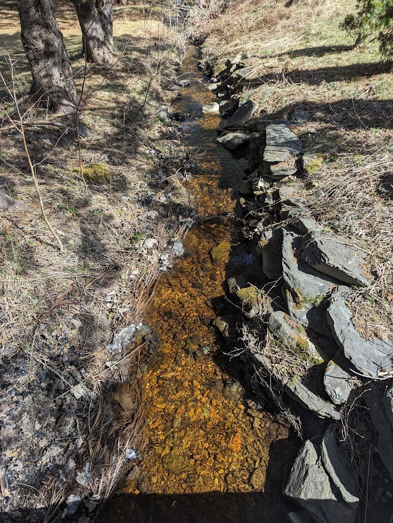 It felt almost like spring on the weekend. The wee crick is flowing but moss provides the only note of green....