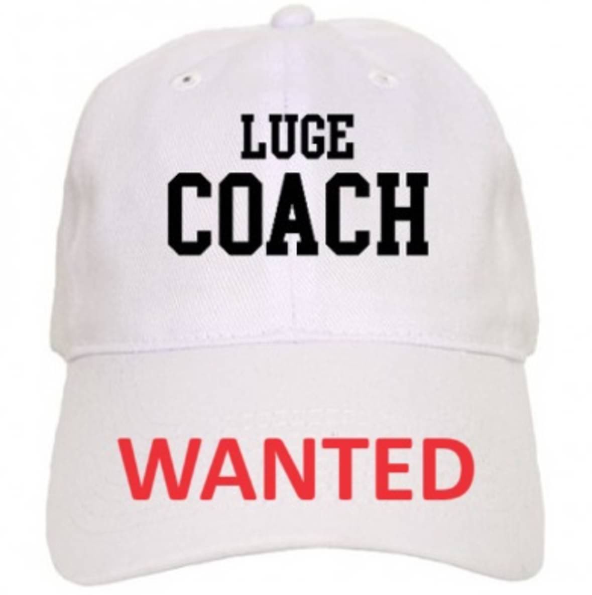 New Zealand Luge is looking for a coach for their ice luge track in Naseby, the only one in the Southern Hemisphere. Employment would be from approx. mid-May to mid-August. Experience making and maintaining a natural ice luge track and coaching public and club lugers is required.…