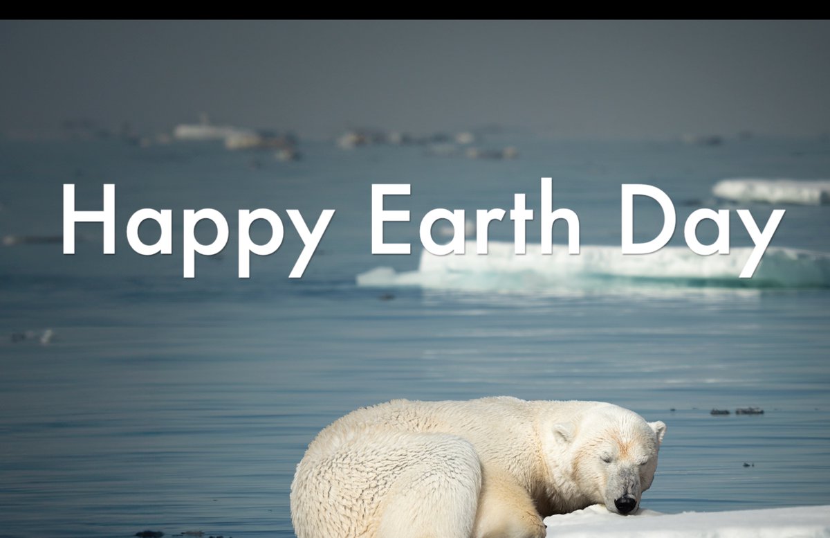 polarbearshope's tweet photo. 13h
Happy #EarthDay when we unite around the world we will make a difference. Get #climateready with #ecoschools remember #myactionsmatter #EarthDay2024 #globalactiondays https://t.co/wMQkUDm0ld