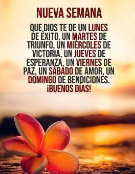 #BuenosDiasATodos #SiguemeYTeSigo  "Con Dinero puedes comprar Una Cama, pero no la Tranquilidad". "Con dinero Puedes pagar un doctor per no puedes comprar Salud", "Con dinero Puedes comprar un reloj pero no puedes comprar más tiempo". Comparto esta reflexión. Feliz Lunes