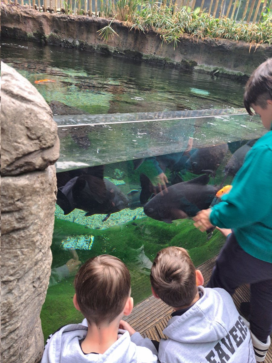 @OVPS Miss Jones tweet media