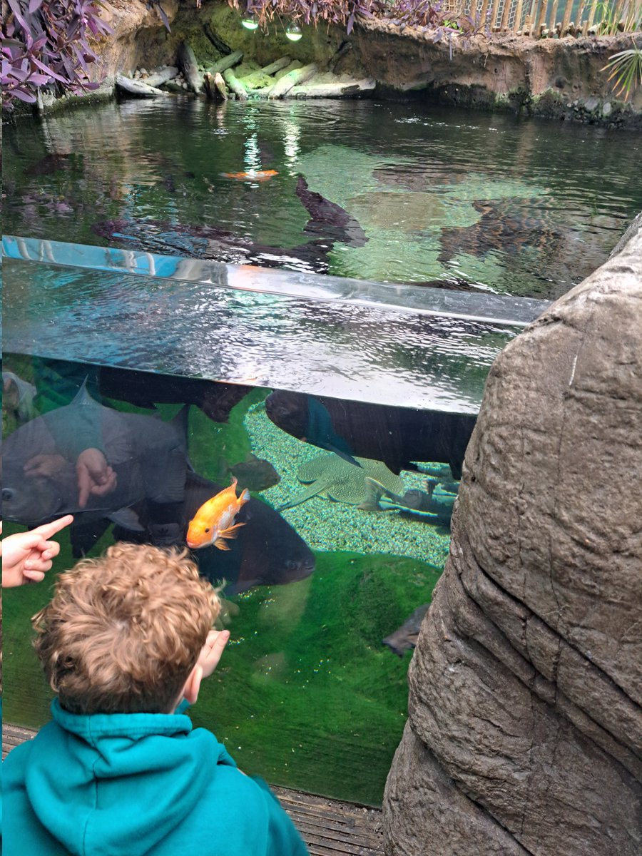 We looked at the effects of plastic pollution and even fed the sharks!! #theovway