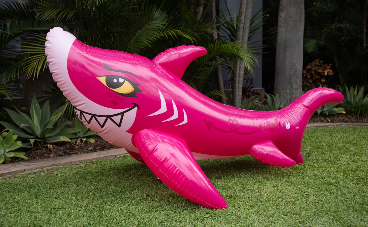 Preorders for Cora are now live! You can place an order your own naughty pink shark here: forms.gle/X98mURDNchw9Ba… 📷:@BroizWolf