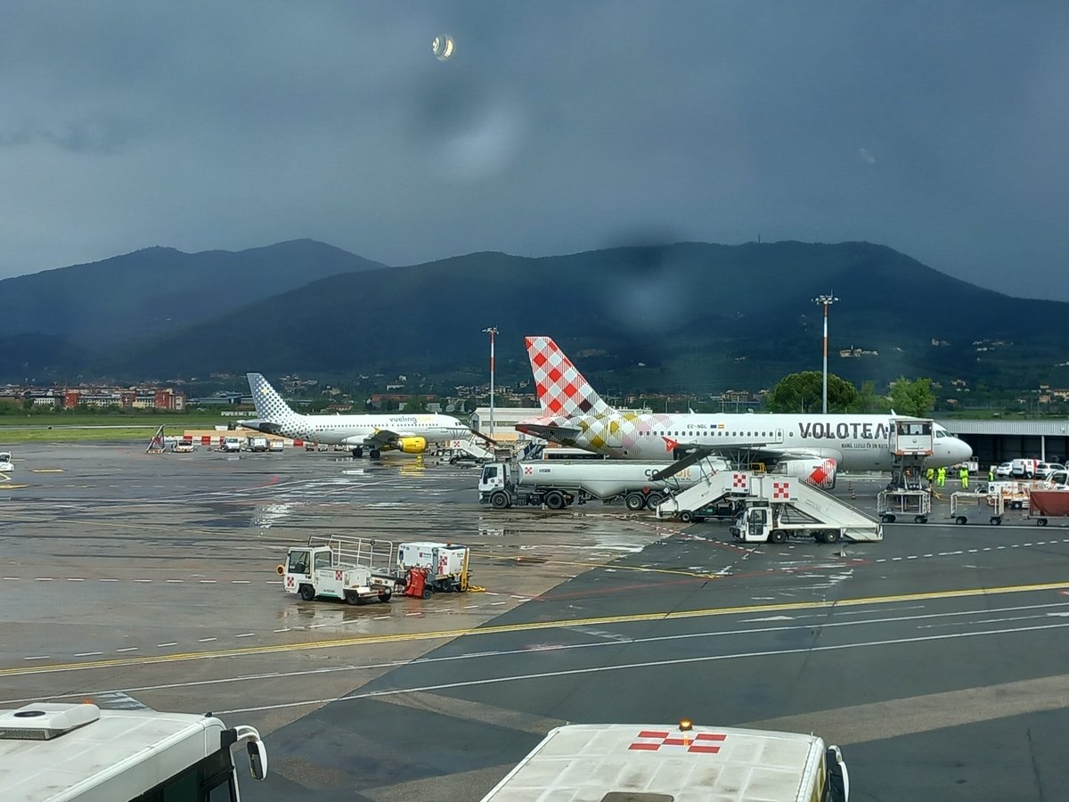 Florence is a hot spot for <a href="/Airbus/">Airbus</a> A319 activity. Seen aircraft of 5 different airlines today!