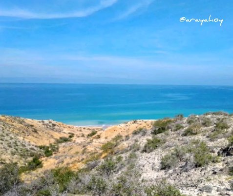 arayaactual's tweet photo. #SaludoPenínsular 🇻🇪🌅🐠
Buenos Días!
📷 #Nuestromar 🌊Azul Salmeroneano
#McpioCruzSalmerónAcosta #EstadoSucre #Venezuela 🇻🇪 #Araya #Playa #Mar #Pesca https://t.co/yJFXO4ZokE