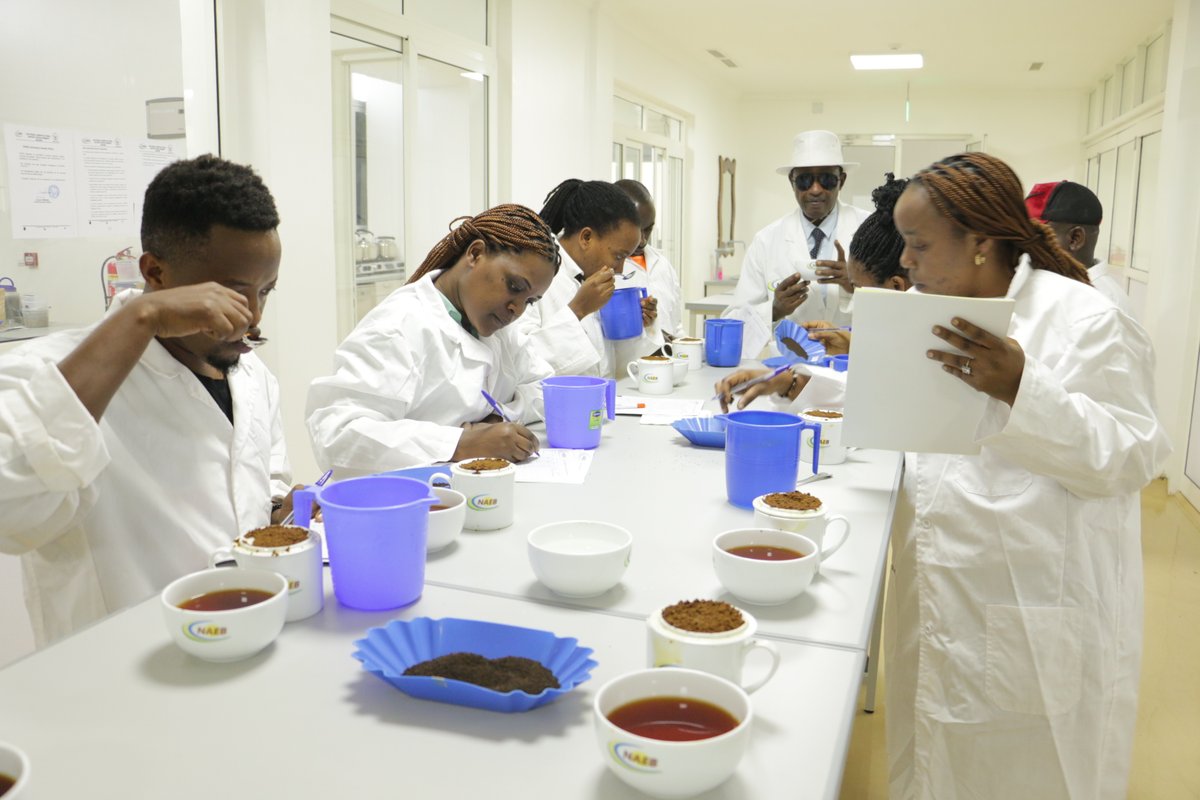 🚨Today morning:🚨
#NAEB kicked-off a 5-day calibration training to 25 Tea Makers from various Tea Factories countrywide. The training aims at boosting practical skills in #Tea production, processing and quality assurance; hence increasing #Rwanda Tea market competitiveness.
