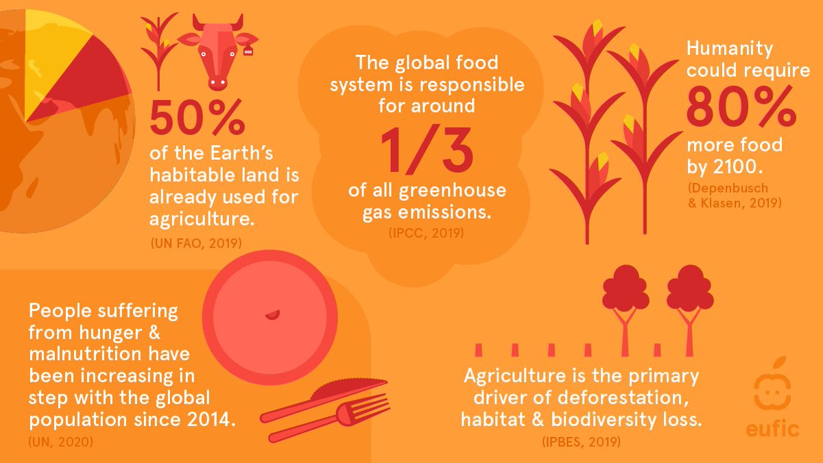 On #EarthDay, let's recognise the power of #FoodSystems in shaping the health of our planet. By following a more #plantbased diet, promoting sustainable agriculture practices & reducing food waste, we can all help build a more resilient and sustainable future. 🌍🍽️