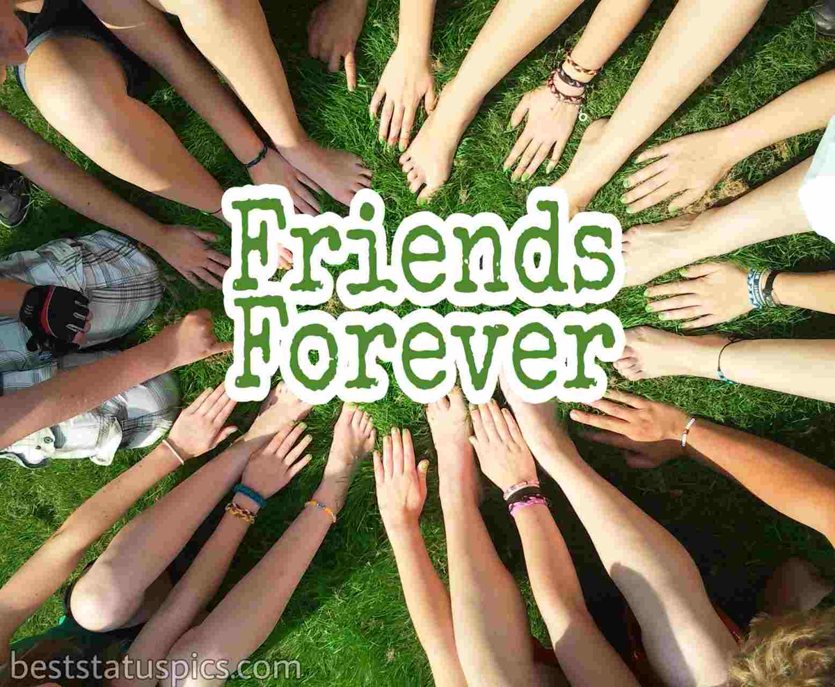 Join Us...🫂🔄 🌎🤝 Gain Amazing 'Friends Forever' 👏 @f_a_r_a_h_9 @kyouchan3190 @aroojfatima924 @R1_Adv @pti_978 @silviafelix011 @keizo_Onigawara @VmK_59 @Sarah_Maga24 @mimih6mei @Spencerjames211 @CHARLY_822 @AshrafParw26055 ____ ✍️ #Activegains 🙏 💖 🙏