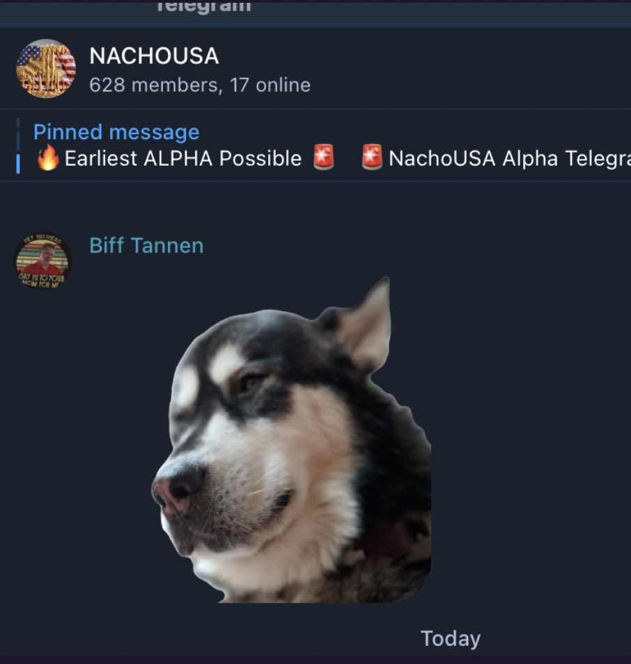 little did I know when people said 'your dog will live on' did I think that meant as a TG sticker pack that strangers would post all over meme coin channels i’m in…