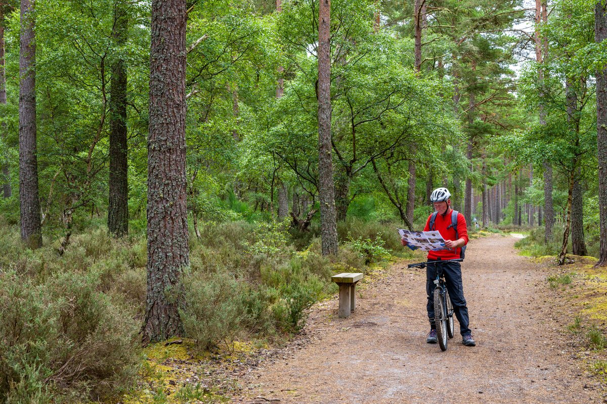 Discover Forres: A Journey of Beauty, History, and Adventure! 🌟 #EscapeYourEveryday Welcome to a week of exploring the enchanting town of Forres and its surrounding gems! 📌 - Ace Adventures, Nelson's Tower & Culbin Forrest, Forres, Moray Speyside 📷 - Visit Moray Speyside