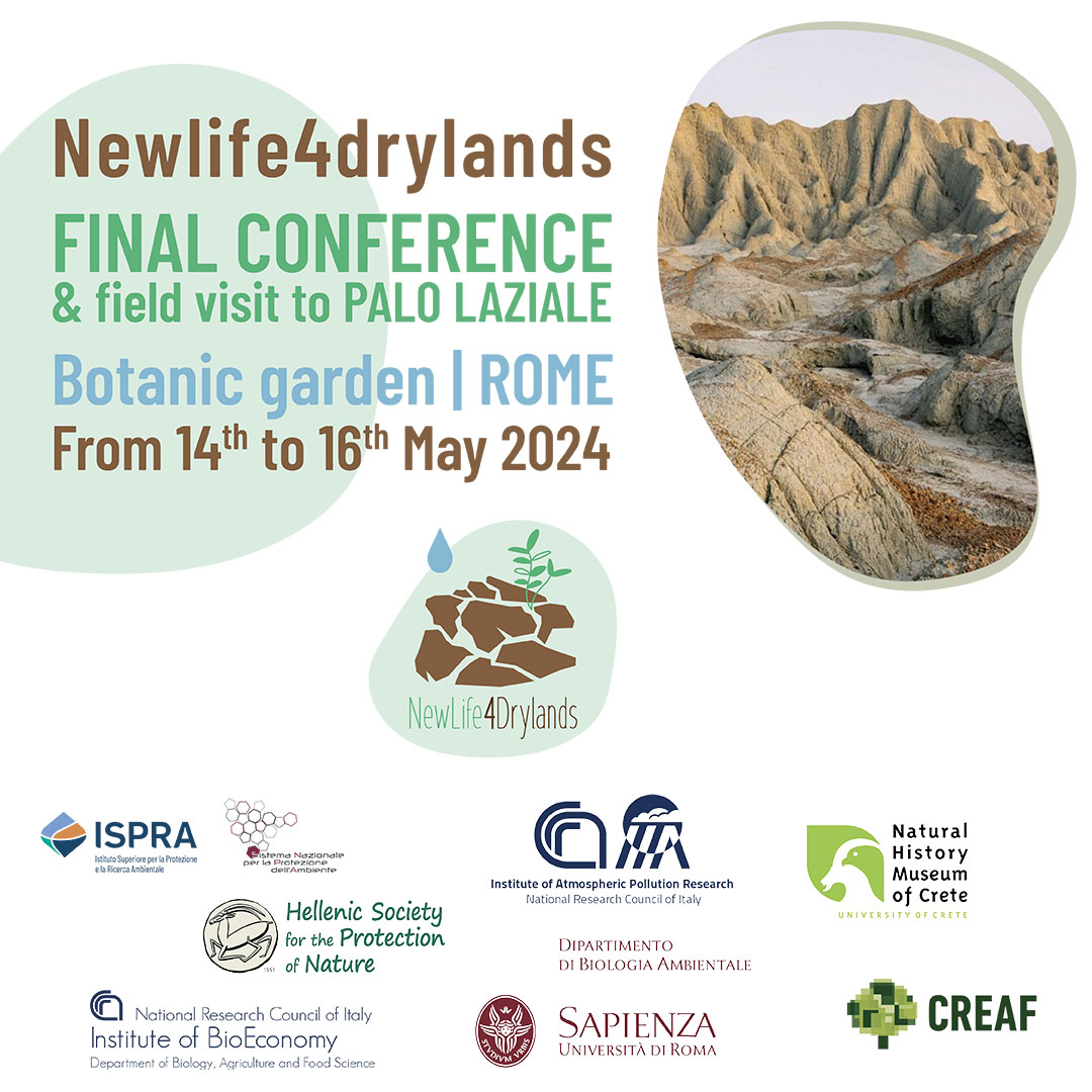 ⏳ Conferenza finale #Newlife4drylands 
🗓️ 14-16 maggio a Roma

Presentazione dei risultati del progetto dedicato al contrasto del degrado del #suolo e della #desertificazione.

Info e iscrizioni: bit.ly/4b7Hbmj
