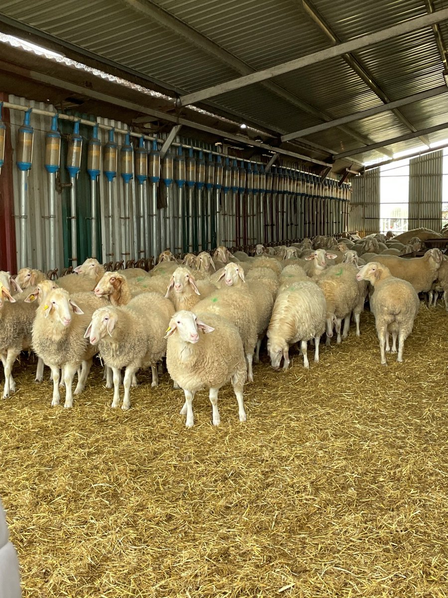 TechCare tweet media