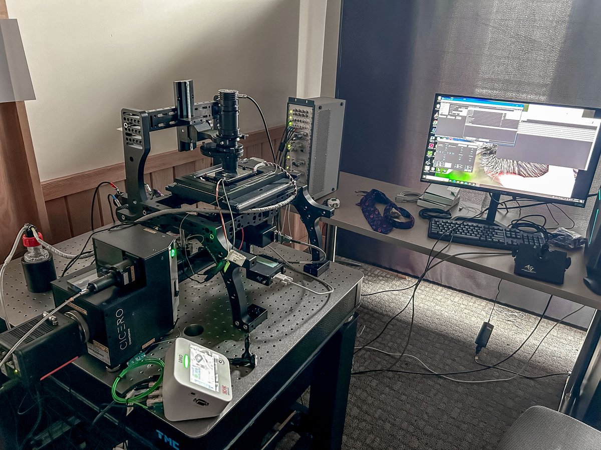 Okolabgroup's tweet image. Proud to support top microscopy courses like #quantitativeimaging at @CSHL ! Check out our #UNOtopstagesystem on an @ASIImaging RAMM stand with @CrestOptics &apos;s Cicero spinning disk for #livecellimaging. Thanks to @sci_doodles and @SSsalteko for sharing this image!