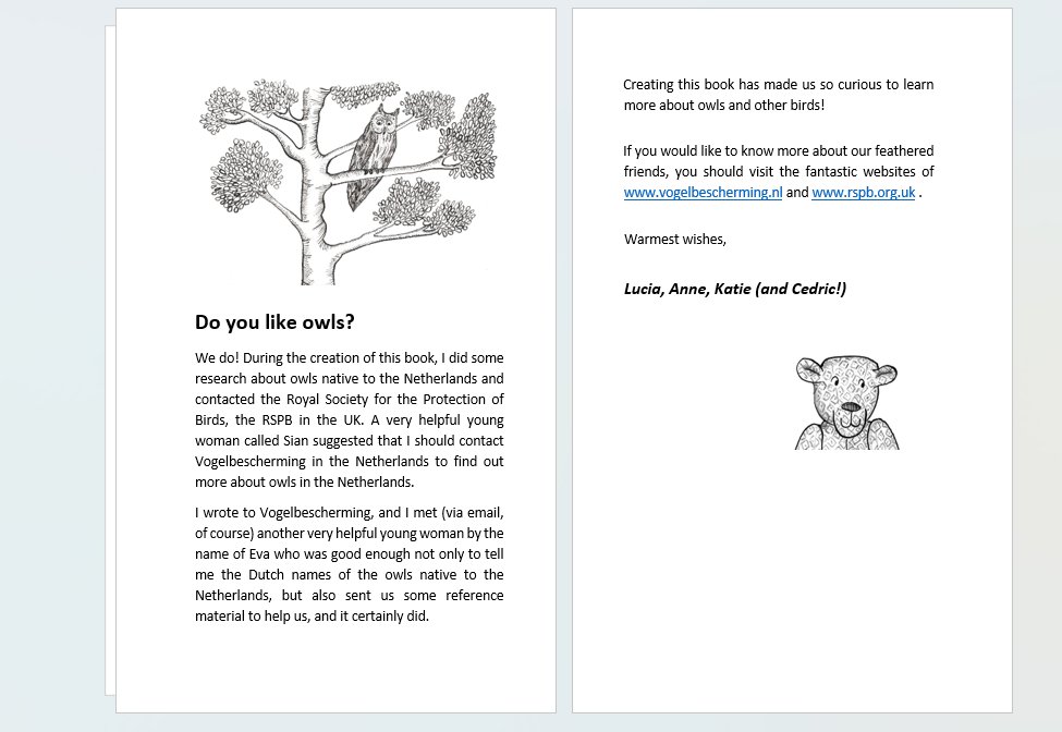 During the writing of Cedric in Amsterdam, I became more and more interested in owls! <a href="/vogelnieuws/">Vogelbescherming NL</a> <a href="/Natures_Voice/">RSPB</a> @MrsEggington <a href="/AnneBJewellery/">anne catliff</a>